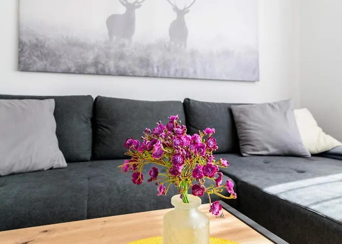 Apartament Traunkai *